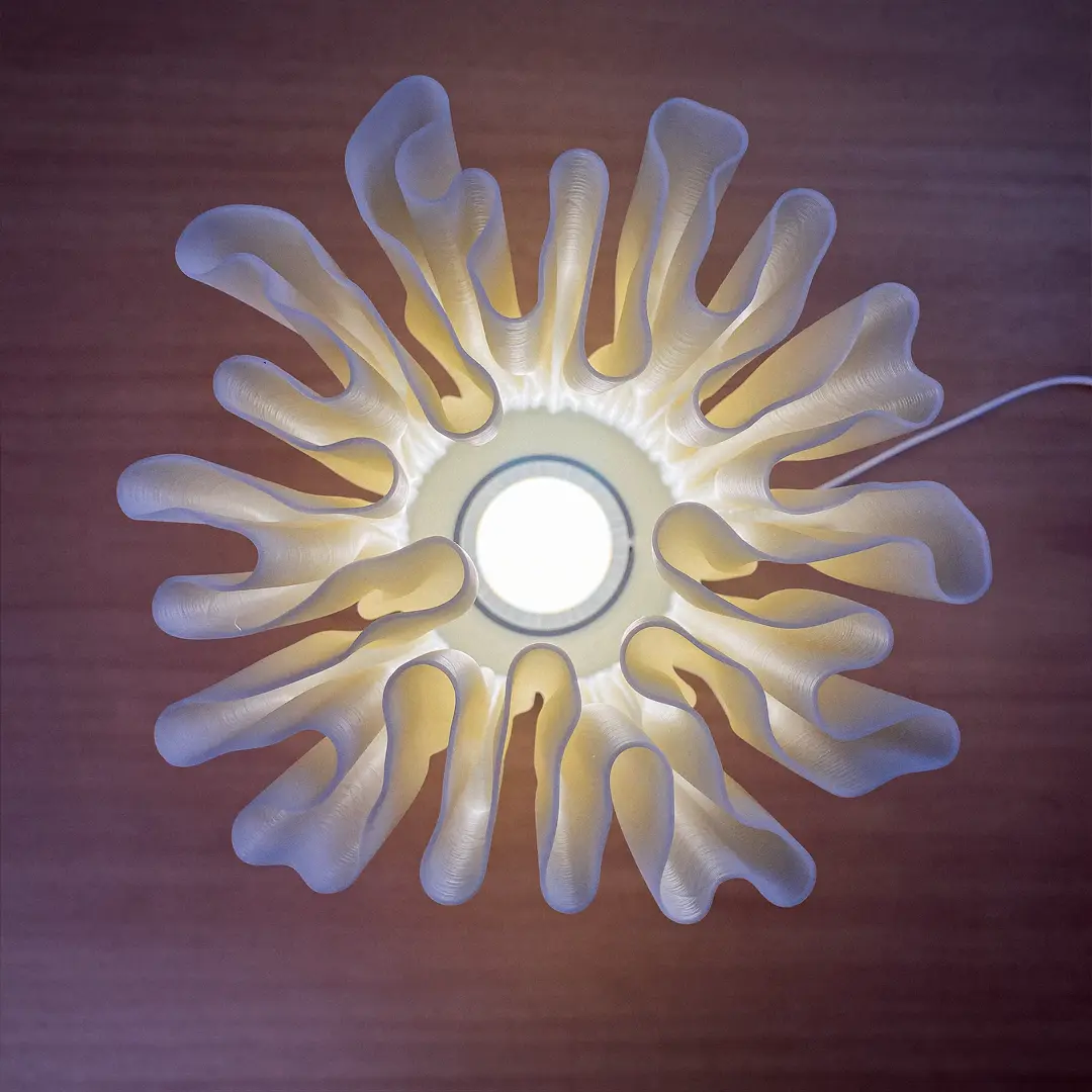 Zoan Table Lamp