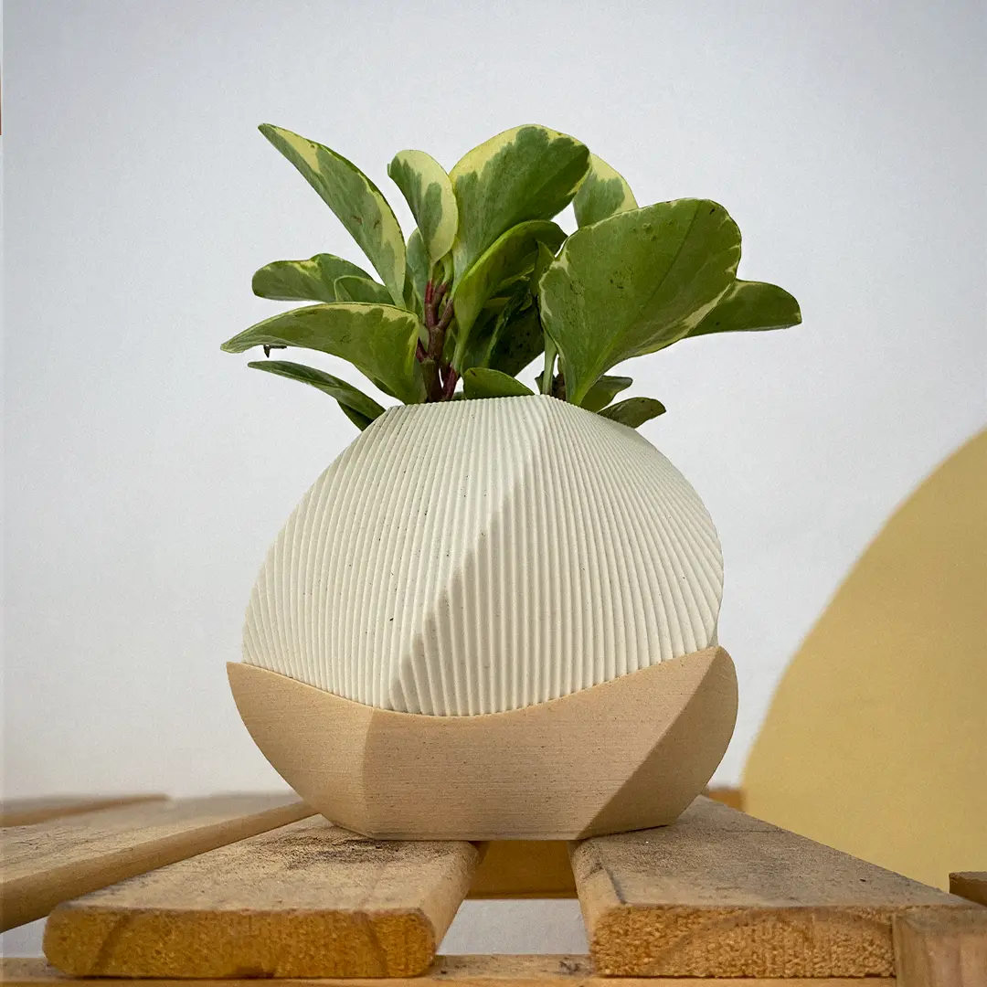 Planter & Plate Set - Four 3D Printable Models