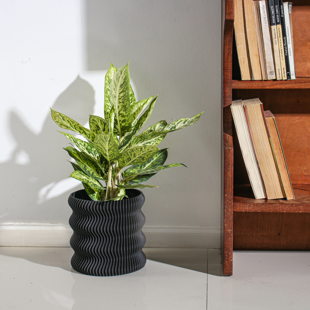 Classic Planter Set