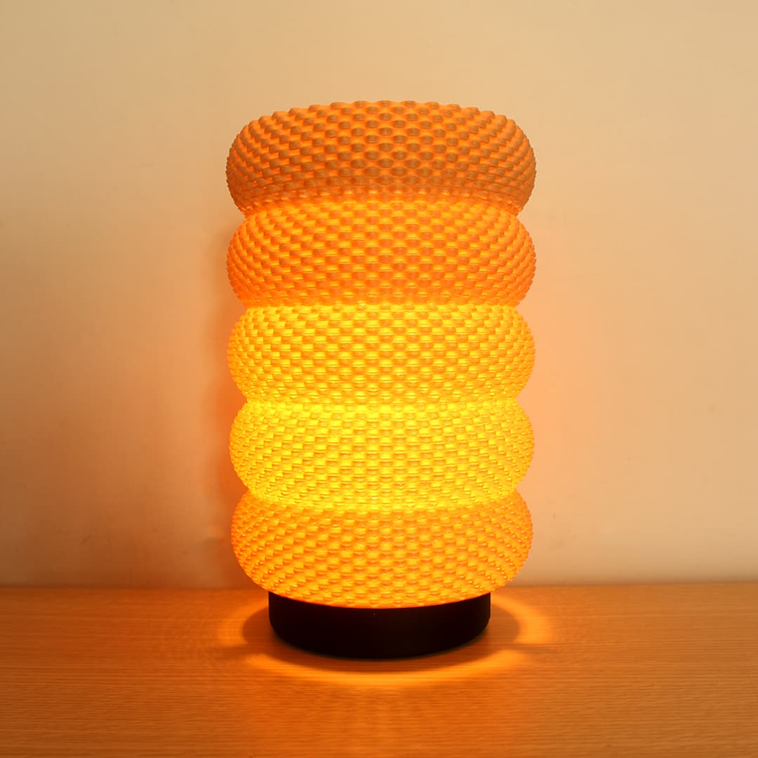 Delfina Adaptive Lamp